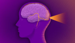 [:es]A Backdoor Lets the Immune System Monitor the Brain[:]