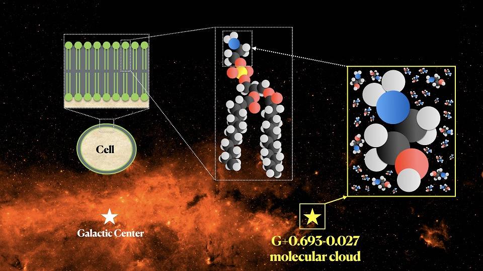 [:es]Descubren etanolamina en el espacio, una molécula clave en el origen de la vida [:]