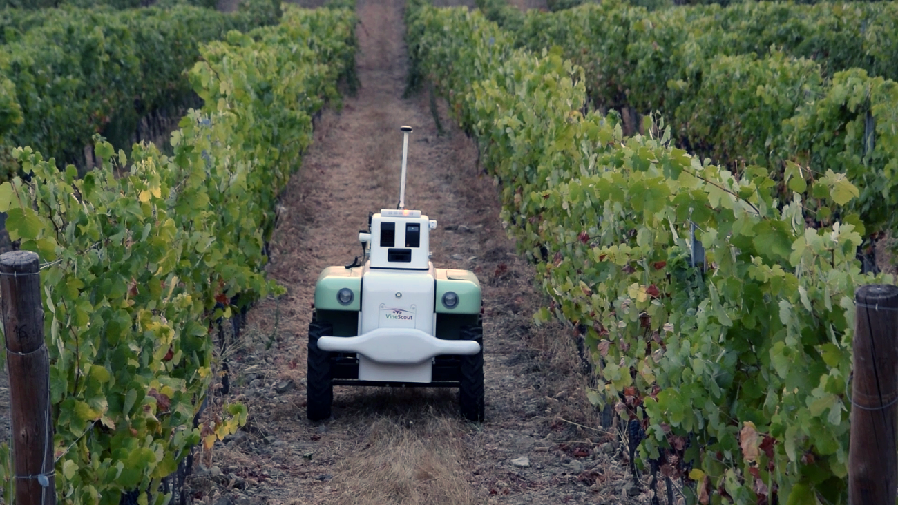 [:es]Nuevo robot para monitorizar las viñas[:]