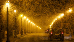 [:es]Can scientists help insects survive their fatal attraction to light at night?[:]