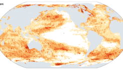 [:es]Fevers are plaguing the oceans — and climate change is making them worse[:]