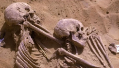 [:es] Neandertales y humanos modernos coexistieron durante al menos 1.400 años [:]
