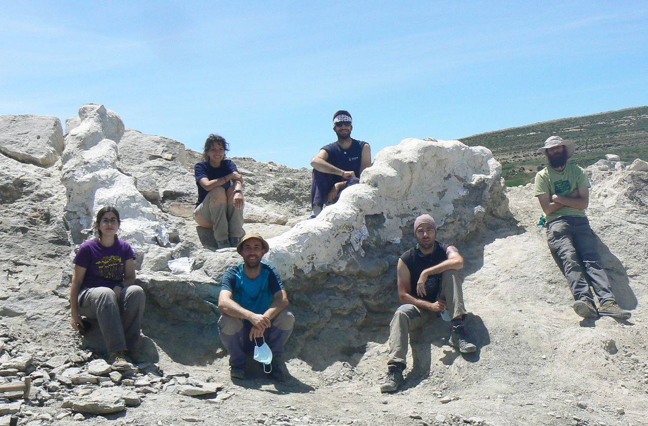 [:es]Hallan en Teruel una columna vertebral de más de cinco metros de un enorme dinosaurio[:]