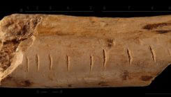 [:es]How did Neanderthals and other ancient humans learn to count?[:]