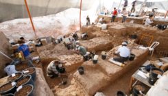 [:es]Mysterious skull fossils expand human family tree — but questions remain[:]
