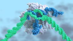 [:es]Landmark CRISPR trial shows promise against deadly disease[:]