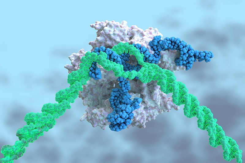 [:es]Landmark CRISPR trial shows promise against deadly disease[:]