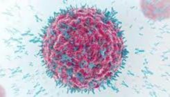 [:es]SARS-CoV-2arekiko immunitateak luze irauten du eta txertoak indartu egiten du[:]