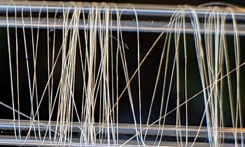 [:es]Super-strength spider silk made by bacteria[:]