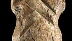 [:es]Hallado un símbolo tallado por un neandertal hace 51.000 años [:]