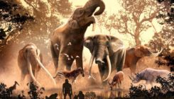 [:es]Los cambios ambientales marcaron el declive del linaje de elefantes, mamuts y mastodontes [:]