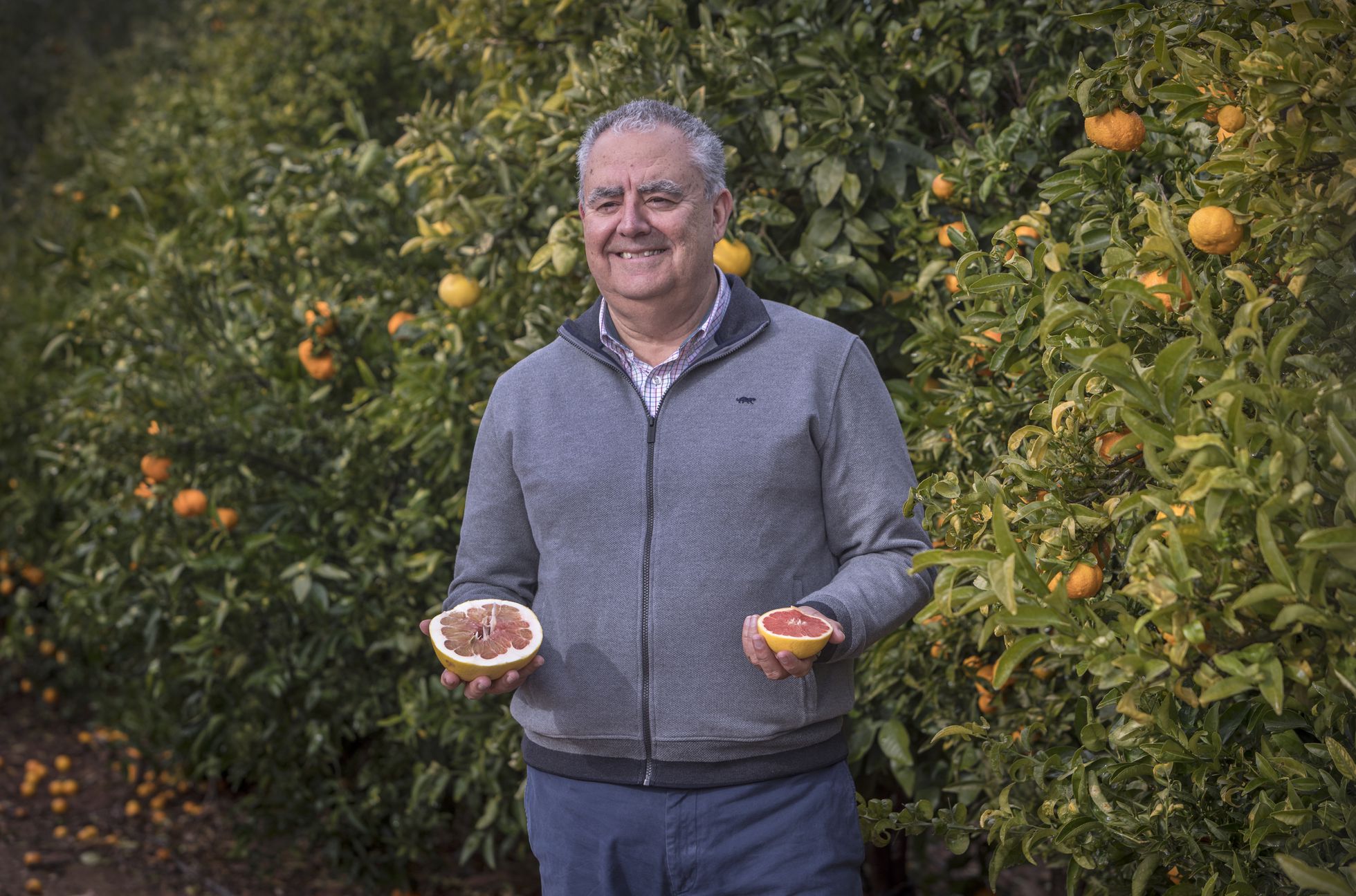 [:es]La mutación que cambió la historia de las mandarinas[:]