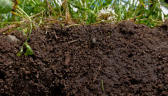 [:es]A Soil-Science Revolution Upends Plans to Fight Climate Change[:]