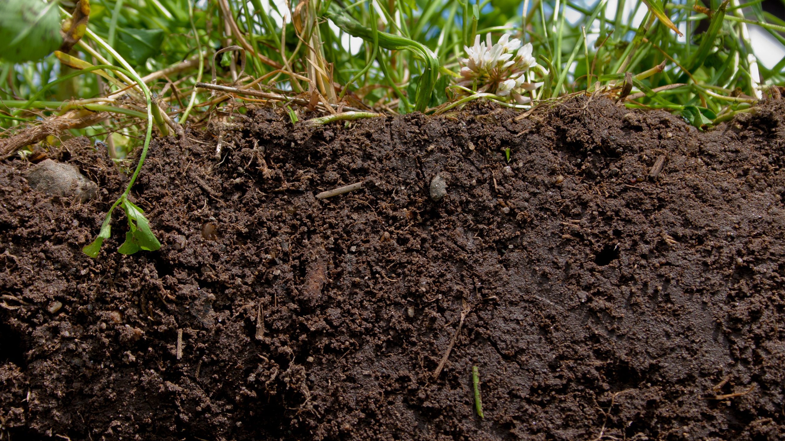 [:es]A Soil-Science Revolution Upends Plans to Fight Climate Change[:]