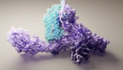 [:es]DeepMind’s AI for protein structure is coming to the masses[:]