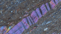 [:es] Tiny Kinks Record Ancient Quakes [:]