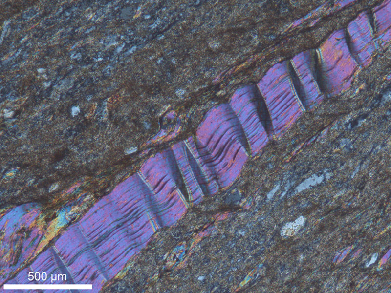 [:es] Tiny Kinks Record Ancient Quakes [:]