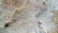 [:es]Incredible ancient footprints are oldest trace of people in North America[:]