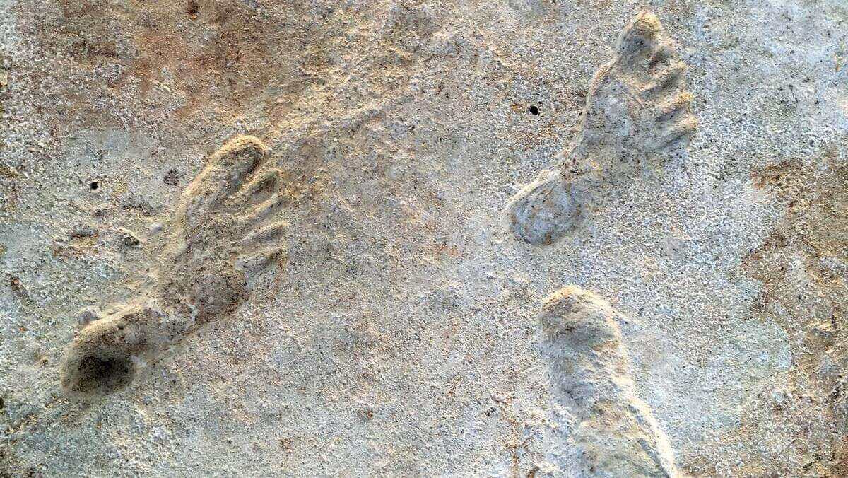 [:es]Incredible ancient footprints are oldest trace of people in North America[:]