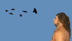 [:es]Los neandertales capturaban aves en las cuevas para su consumo[:]