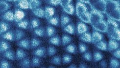 [:es]This is what a solid made of electrons looks like[:]