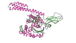 [:es] Gaixotasun neurodegeneratiboen prebentziorako makineria[:]