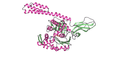 [:es] Gaixotasun neurodegeneratiboen prebentziorako makineria[:]