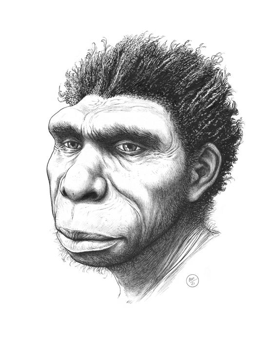 [:es] Experts name new species of human ancestor [:]