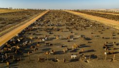 [:es]Eliminar metano ralentizaría el calentamiento global (si sabemos cómo)[:]