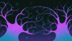 [:es]To Be Energy-Efficient, Brains Predict Their Perceptions[:]
