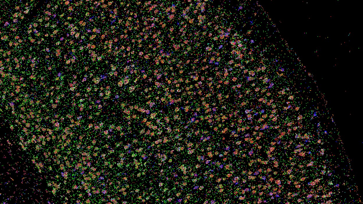 [:es]An expanding molecular toolbox untangles neural circuits[:]