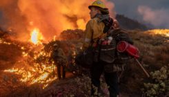 [:es]How record wildfires are harming human health[:]