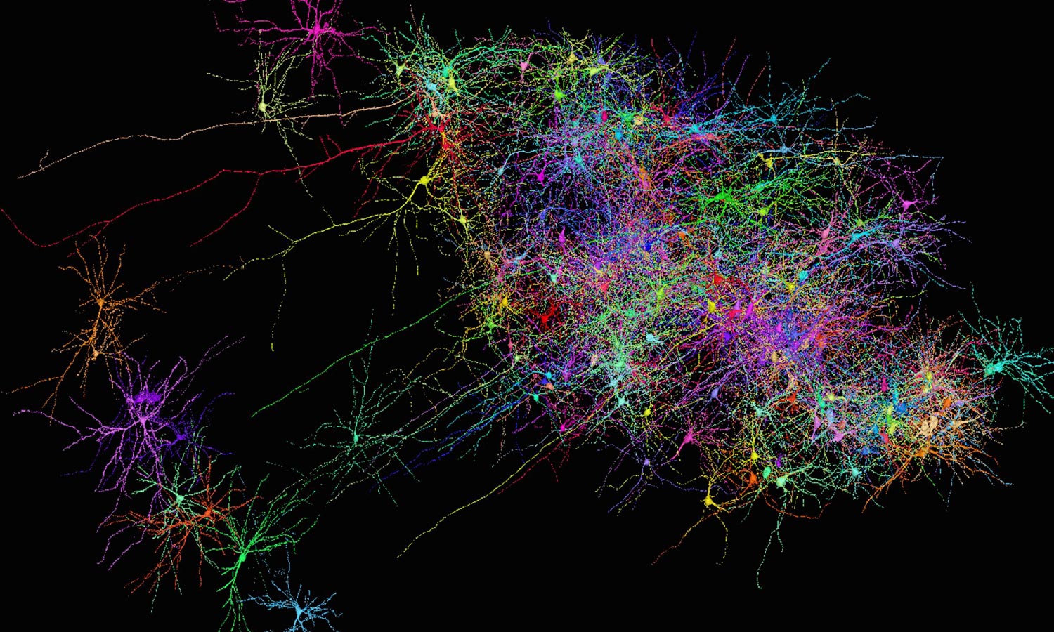 [:es]New Brain Maps Can Predict Behaviors[:]