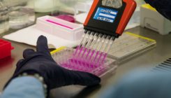 [:es]Half of top cancer studies fail high-profile reproducibility effort[:]