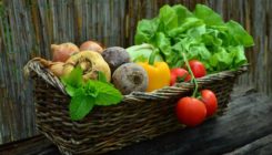 [:es]Elikadura osasungarriaren aldeko ikerketa[:]