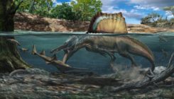 [:es]Así logró cazar bajo el agua el ‘Spinosaurus’, el dinosaurio carnívoro más grande del mundo[:]