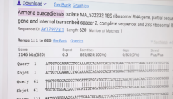 [:es]Informazio genetikorako sarbidea irekia izan dadin bermatzeko eskaria egin dute[:]