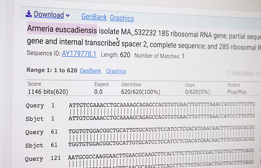 [:es]Informazio genetikorako sarbidea irekia izan dadin bermatzeko eskaria egin dute[:]