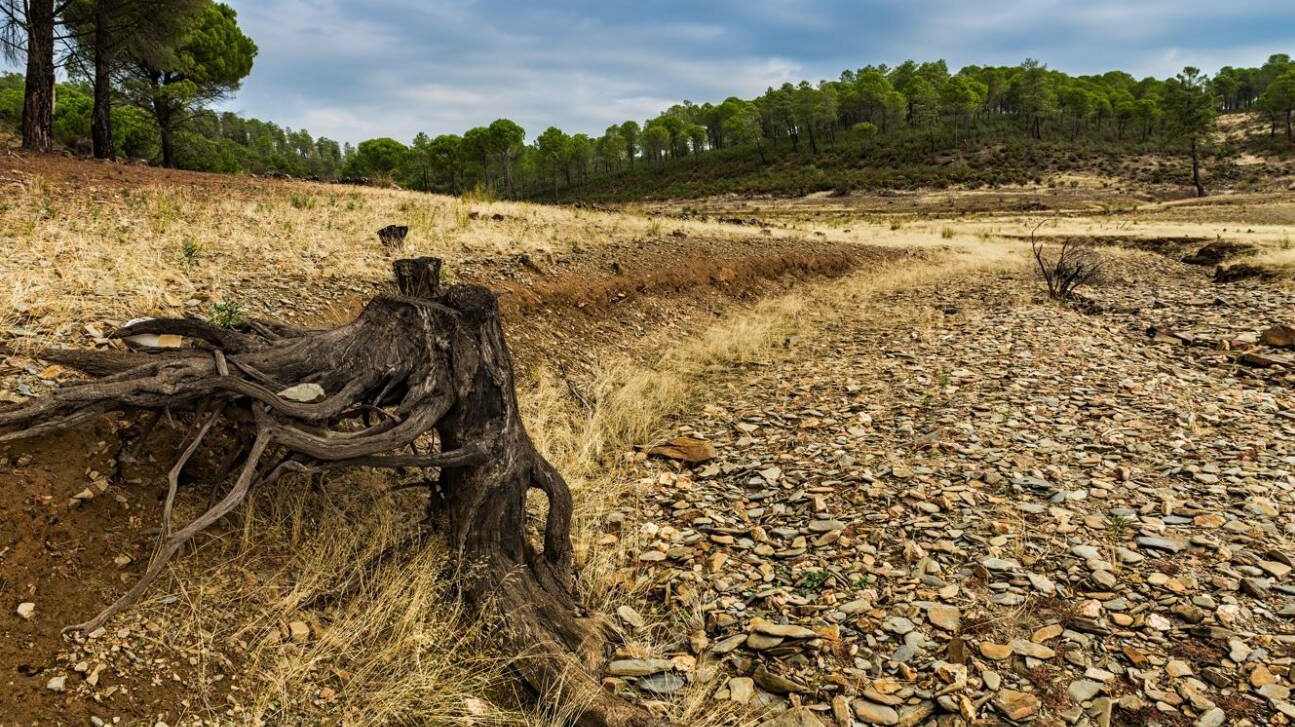 [:es] El cambio climático ya es una amenaza para el bienestar humano y la salud del planeta [:]