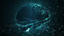 [:es]Brain Chemical Helps Signal to Neurons When to Start a Movement[:]