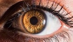 [:es]Solo vemos el pasado: nuestro cerebro no procesa las imágenes en tiempo real[:]