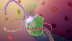 [:es]An mRNA vaccine with a twist—it copies itself—protects against COVID-19[:]
