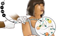 [:es]New generation of cancer-preventing vaccines could wipe out tumors before they form[:]