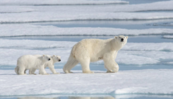 [:es]Chaos Researchers Can Now Predict Perilous Points of No Return[:]