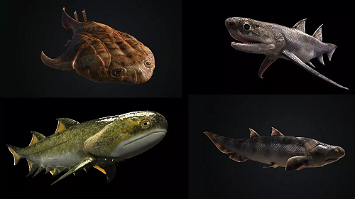 [:es] Estos peces iluminan cómo fue la evolución de los vertebrados con mandíbula [:]