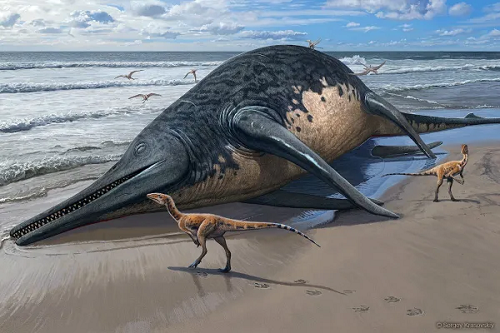 ‘Giant fish lizard’ bigger than megalodon could be largest marine reptile ever discovered