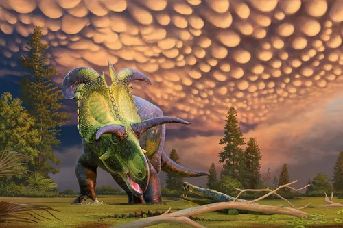 One of the biggest (and weirdest) horned dinosaurs has been discovered
