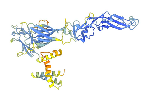 Where did viruses come from? AlphaFold and other AIs are finding answers