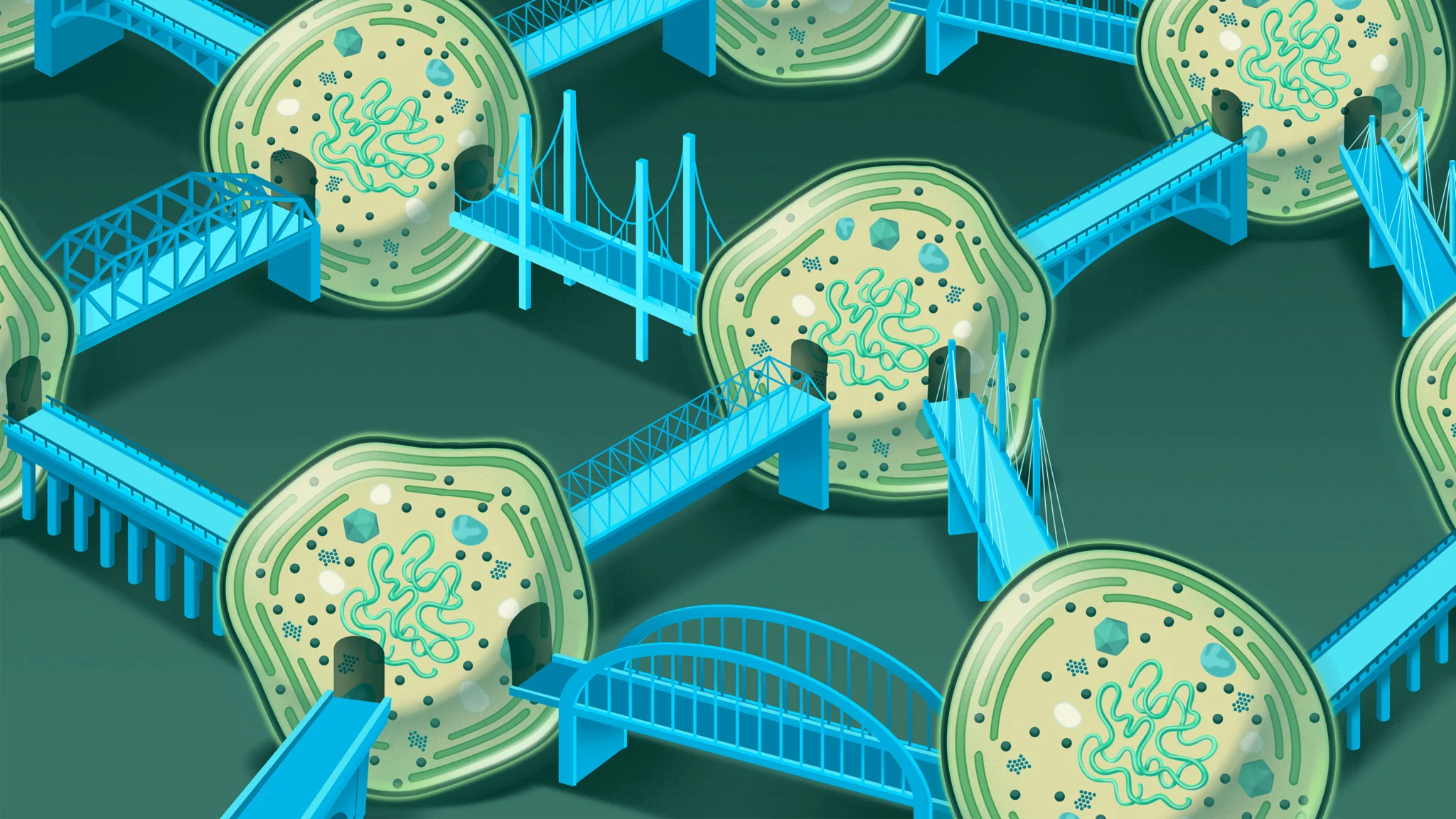 The Ocean Teems With Networks of Interconnected Bacteria