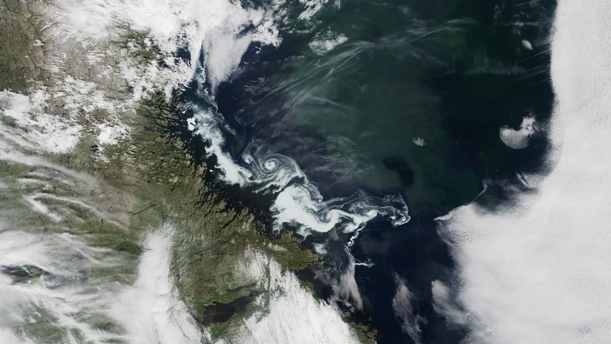 Water Density Shifts Can Drive Rapid Changes in AMOC Strength